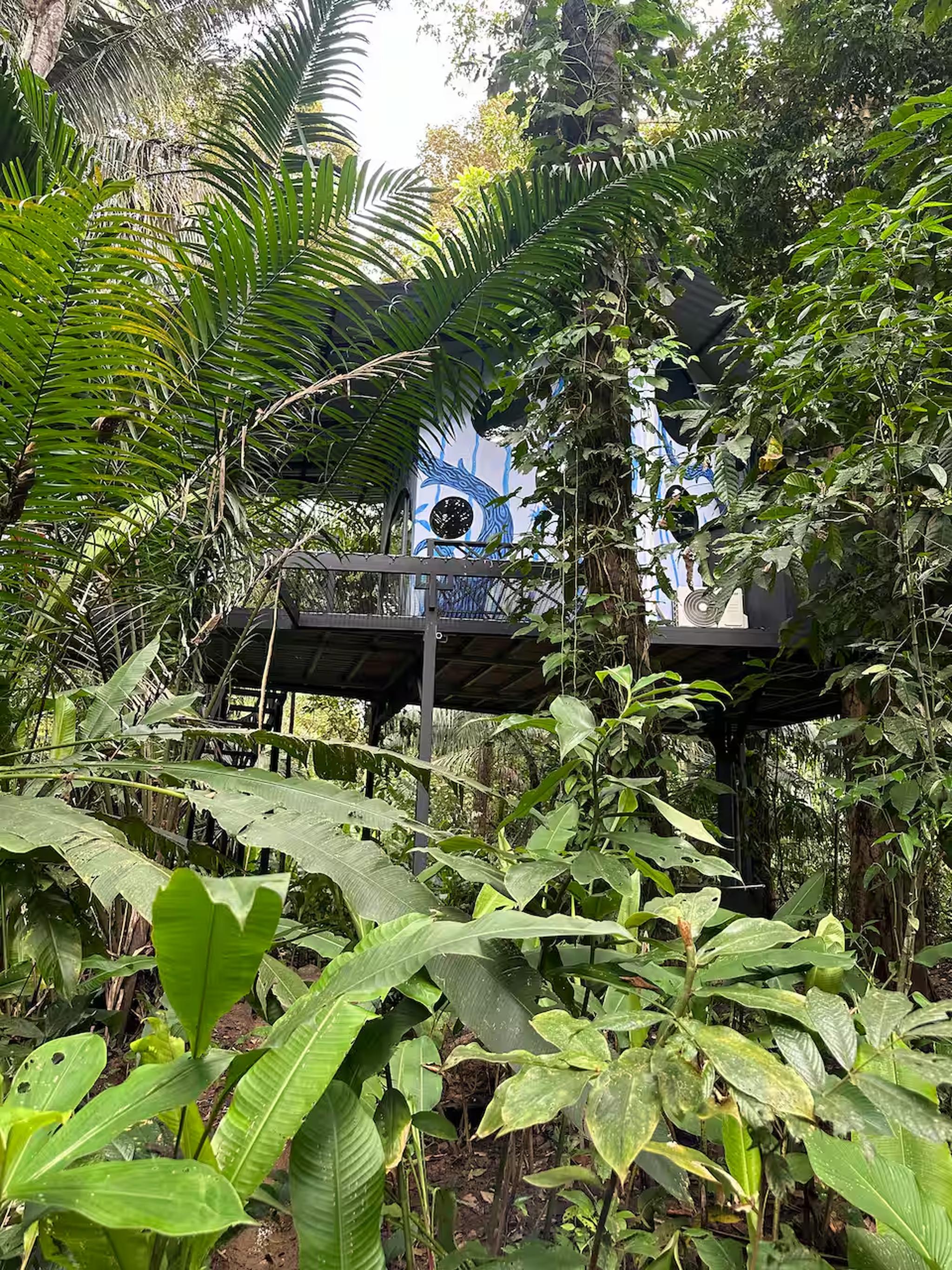 Secluded elevated cabin nestled in lush tropical jungle greenery