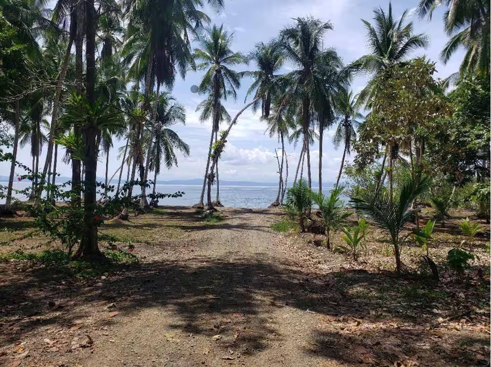 Tropical palm-lined path leading to a quiet beachfront escape