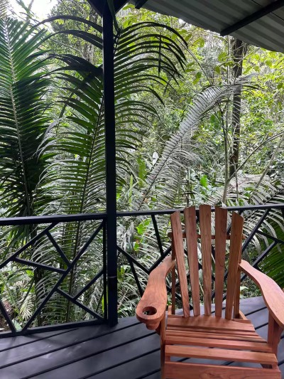 Private jungle-view balcony with a peaceful treehouse feel