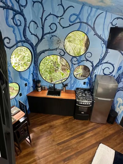 Whimsical jungle-view kitchenette with artistic murals and round windows