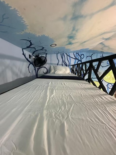 Whimsical loft sleeping nook with mural art and cozy retreat vibes