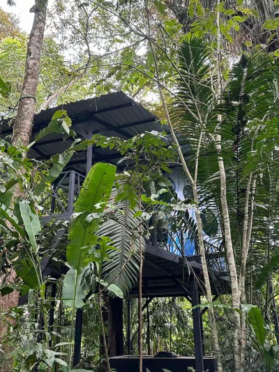 Secluded jungle treehouse with elevated deck and lush tropical views