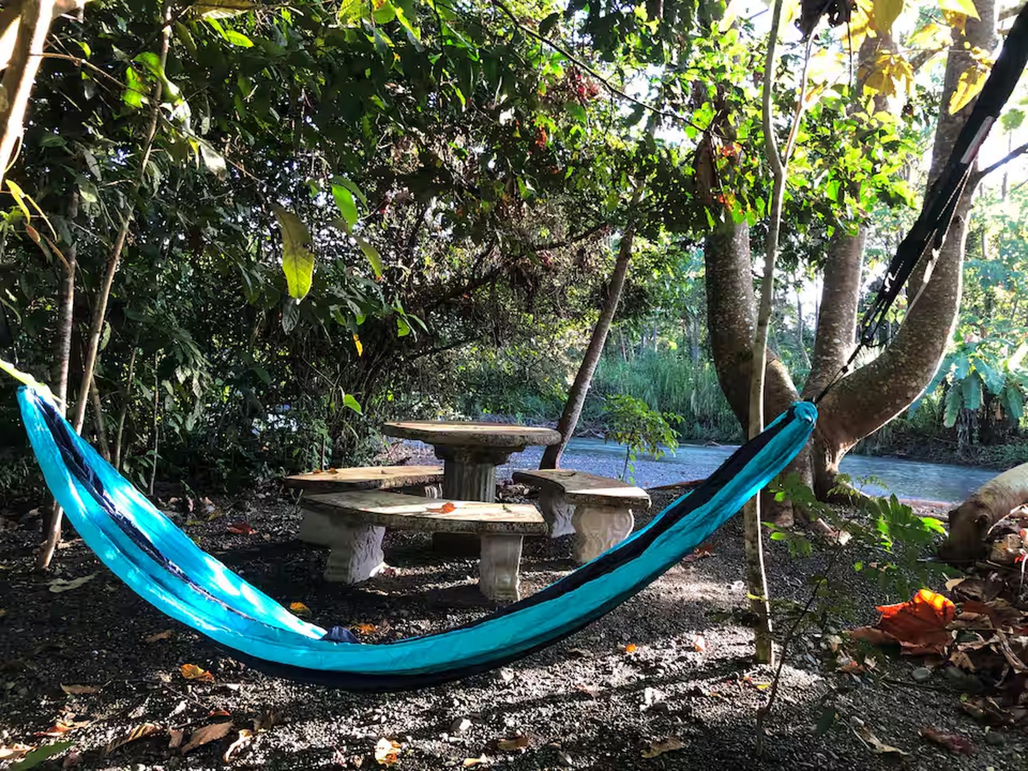 Shaded garden hammock and stone seating for peaceful outdoor relaxation