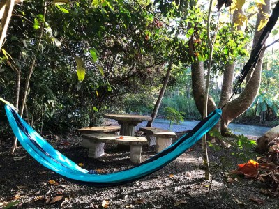 Shaded garden hammock and stone seating for peaceful outdoor relaxation