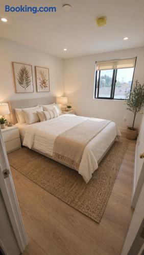 Levion Living At 1447 W 36th Place