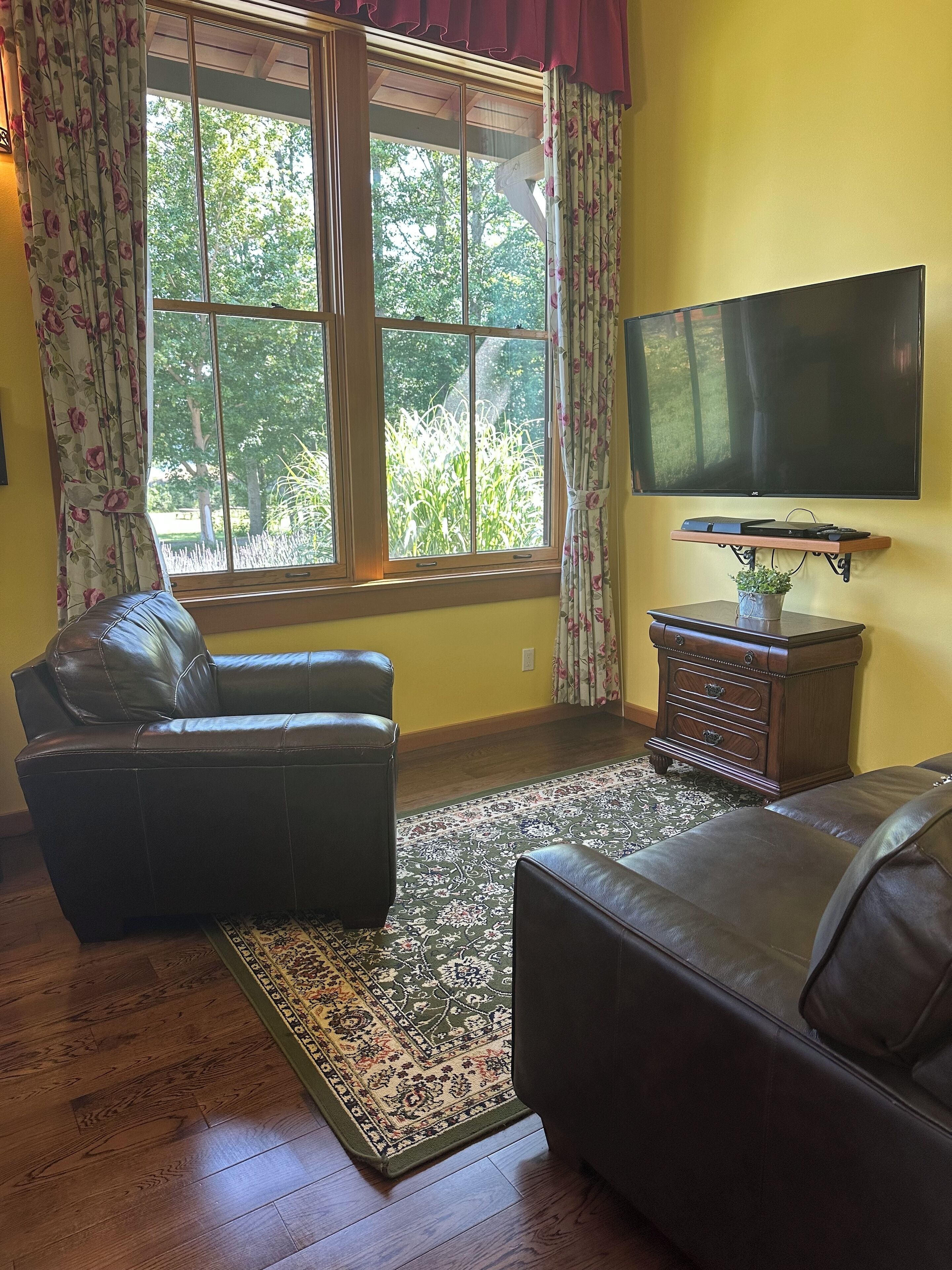 TV with full Dish Network channels