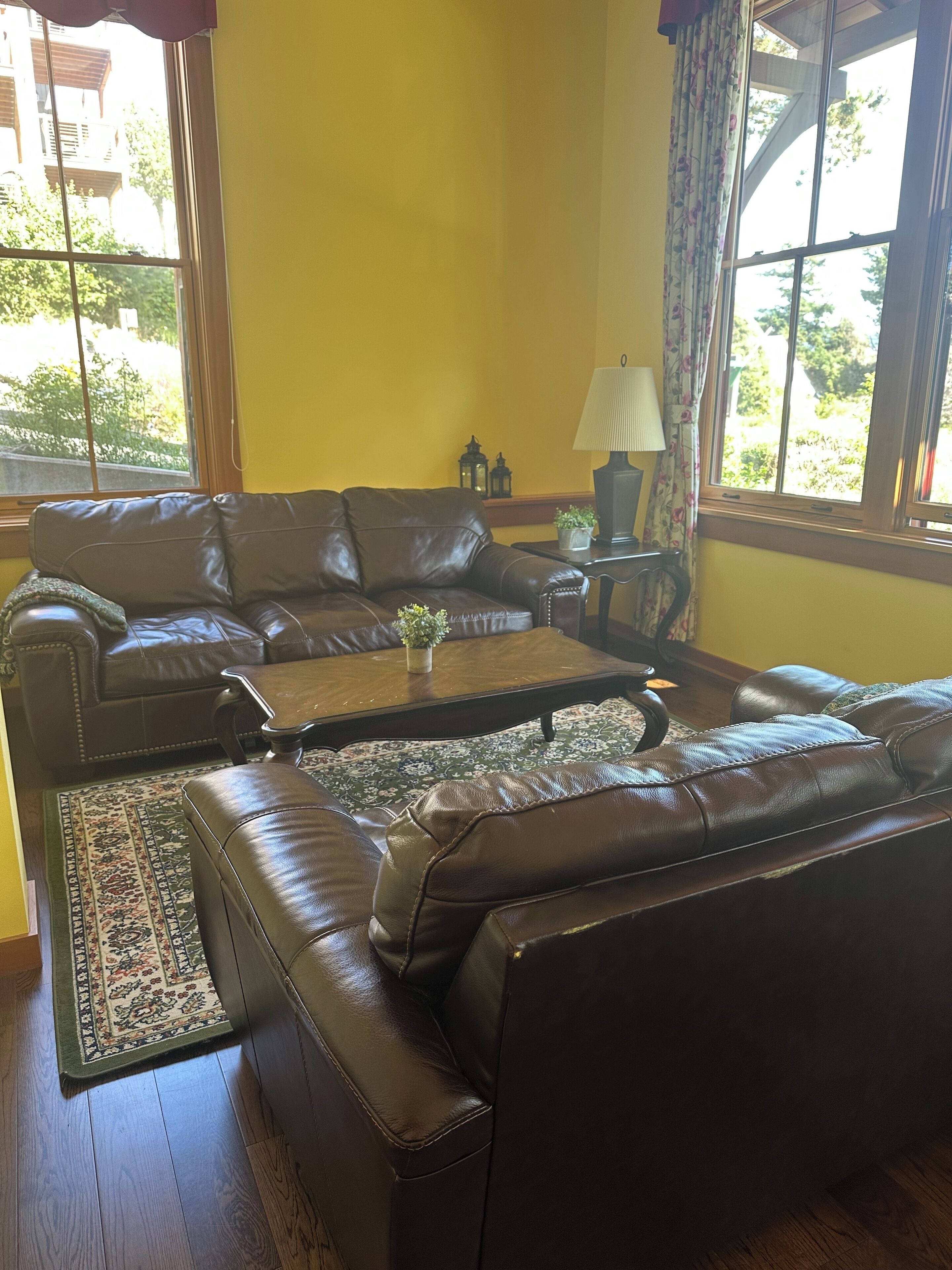 Queen Sofa Bed and sitting area