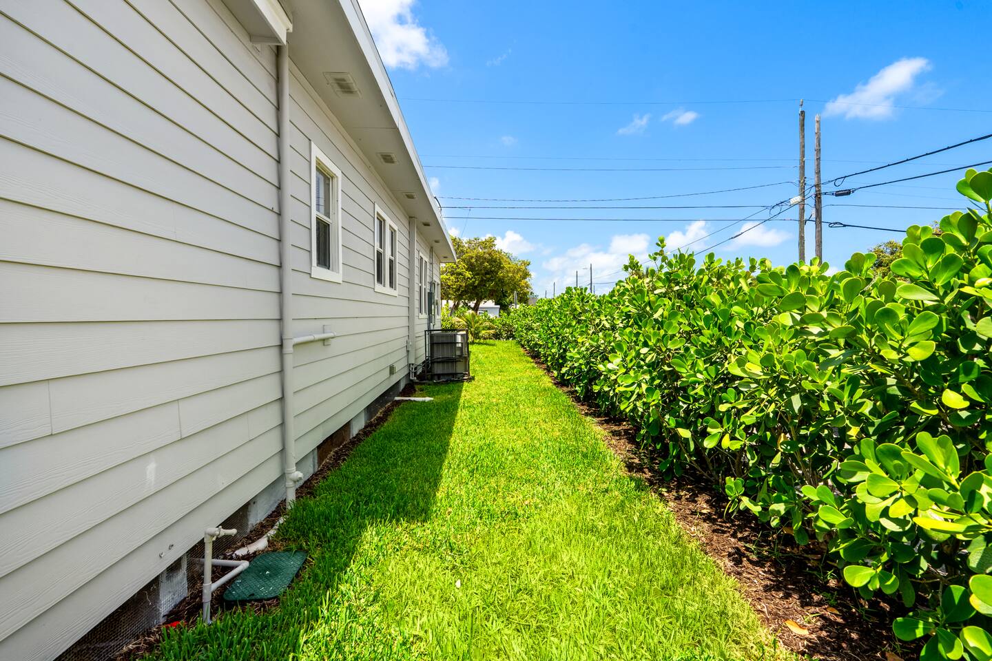 Side pathway connects the backyard to the front of the house, providing some extra green space for outdoor activities