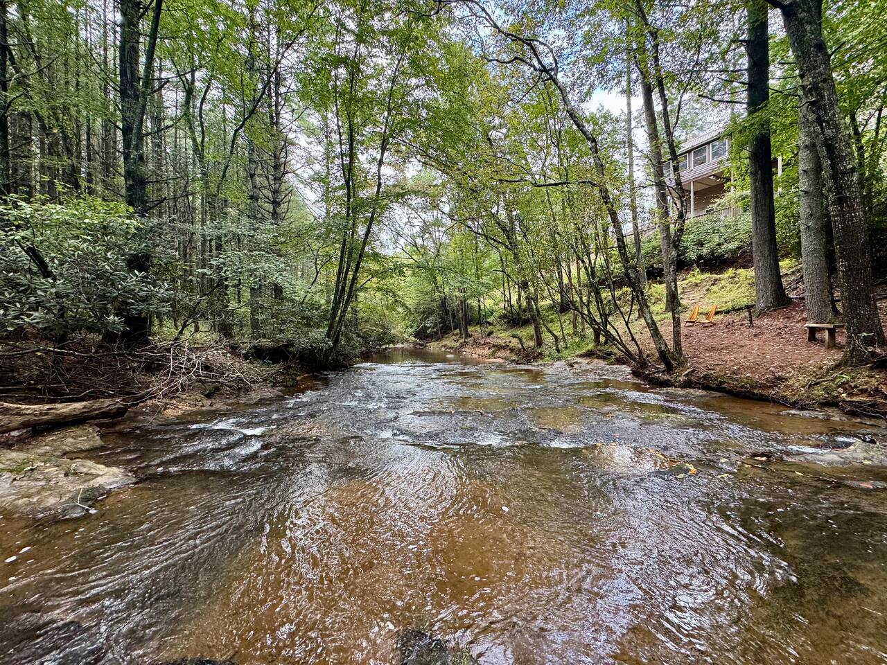 Creekside Bliss in the Blue Ridge