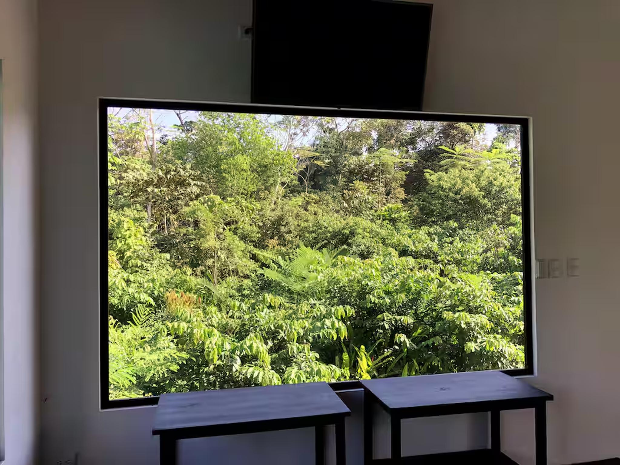 Floor-to-ceiling window with serene tropical jungle views