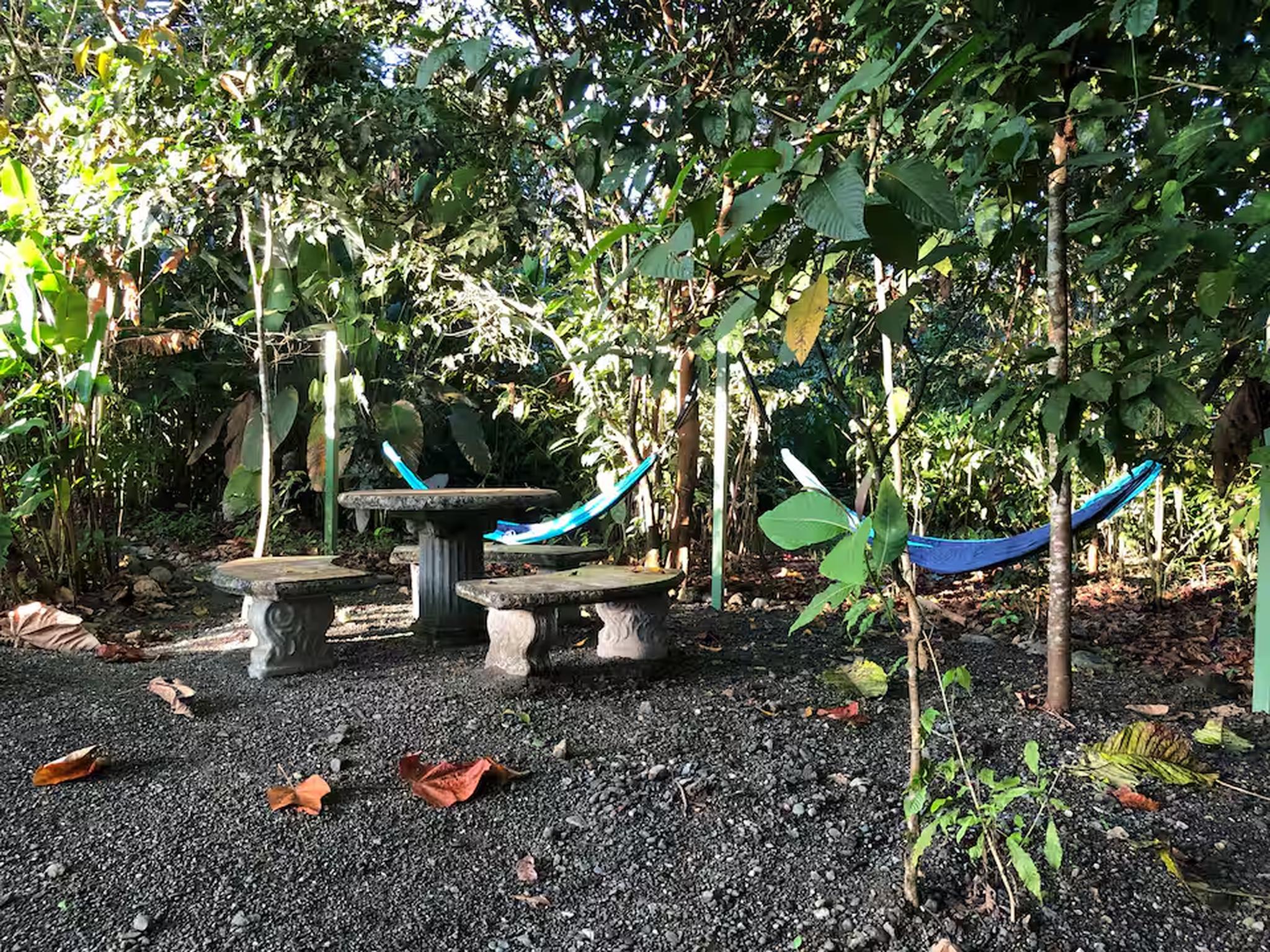 Private tropical garden with stone seating and relaxing hammocks