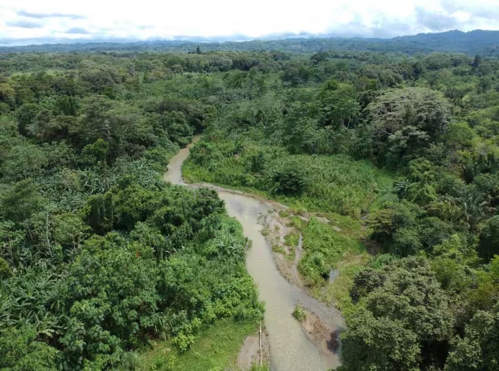 A serene river winding through lush tropical rainforest views