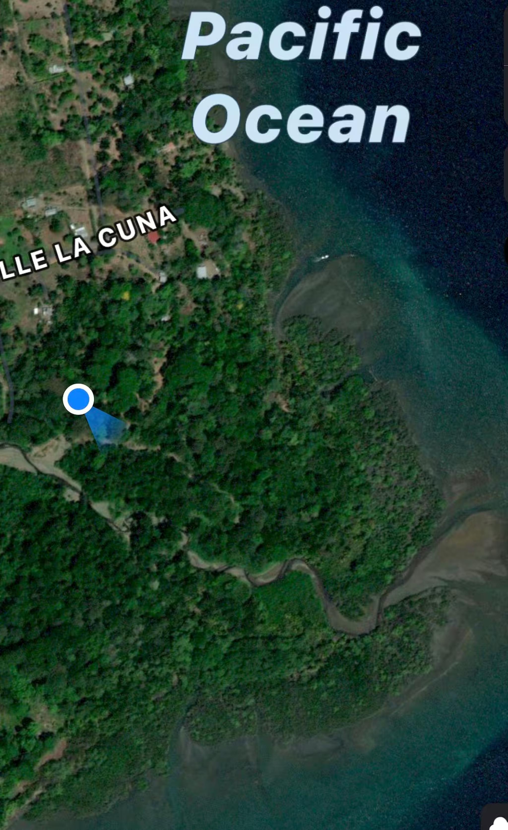 Tropical coastal setting near the Pacific, surrounded by lush greenery
