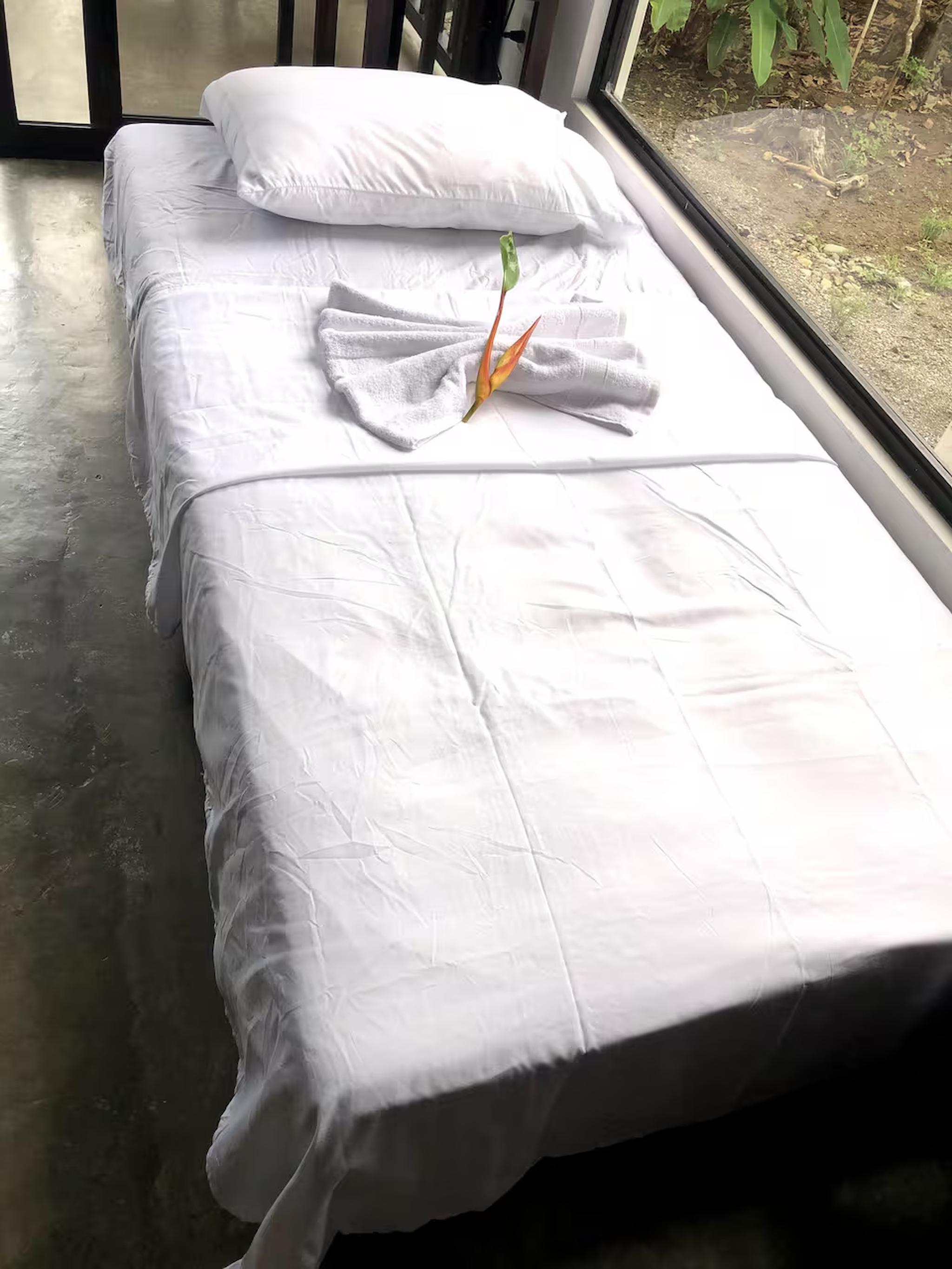 Bright window-side single bed with fresh linens and garden views