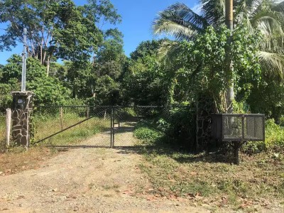 Private gated entrance framed by lush tropical greenery