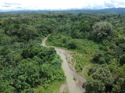 A serene river winding through lush tropical rainforest views