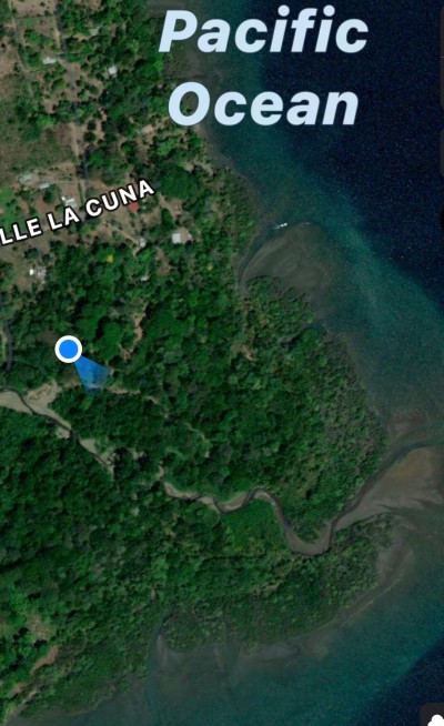 Tropical coastal setting near the Pacific, surrounded by lush greenery