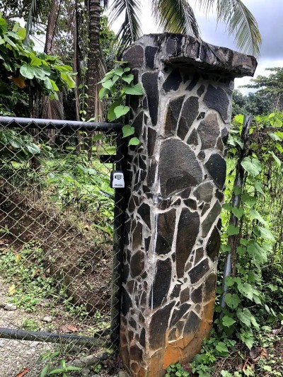 Rustic stone entry framed by lush tropical greenery