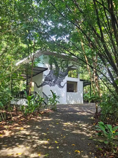 Secluded jungle villa with bold art and a peaceful tropical setting