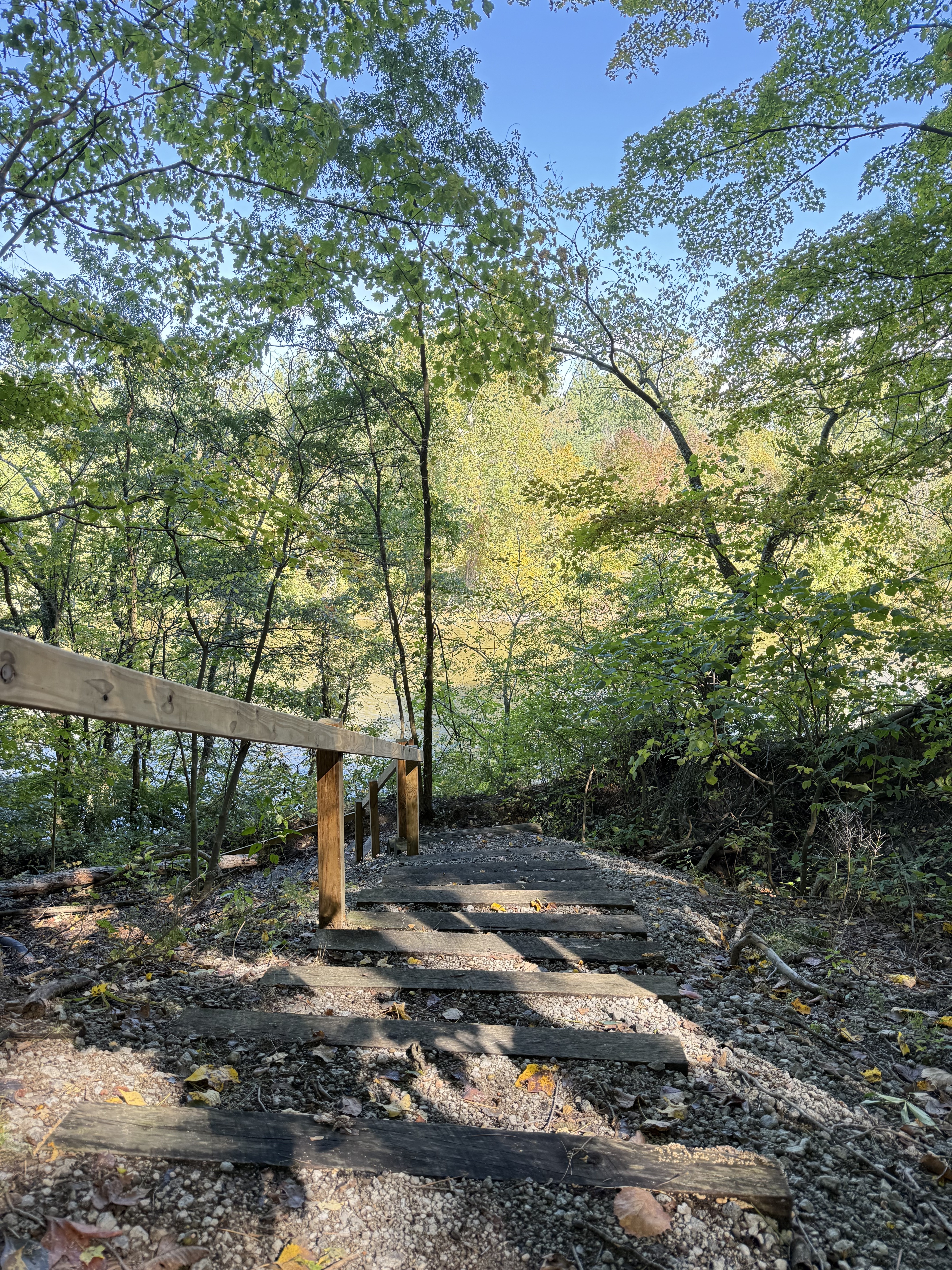 Charming woodland footbridge along a peaceful, tree-lined nature path