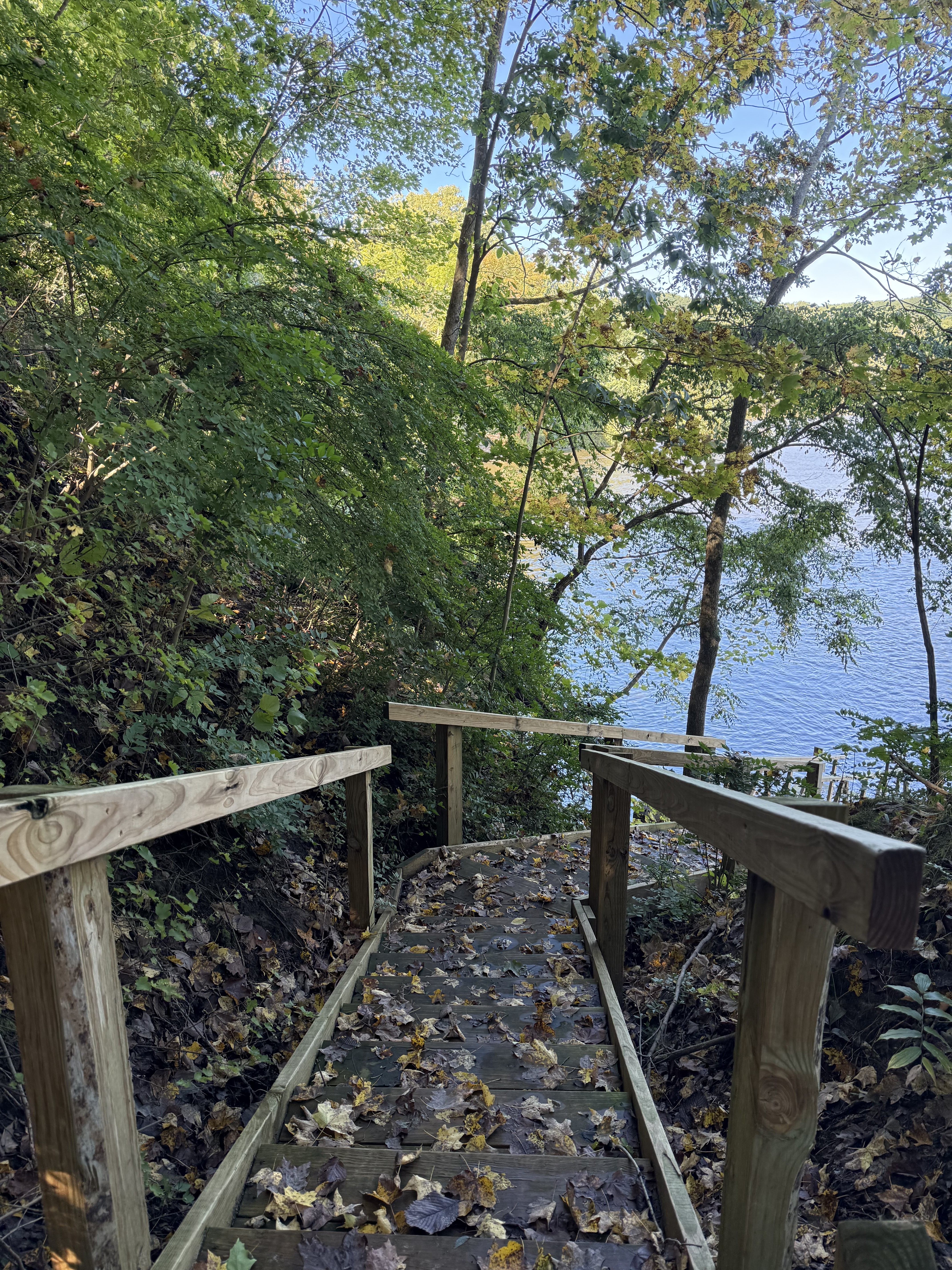 Private wooded stairway leading to peaceful waterfront views