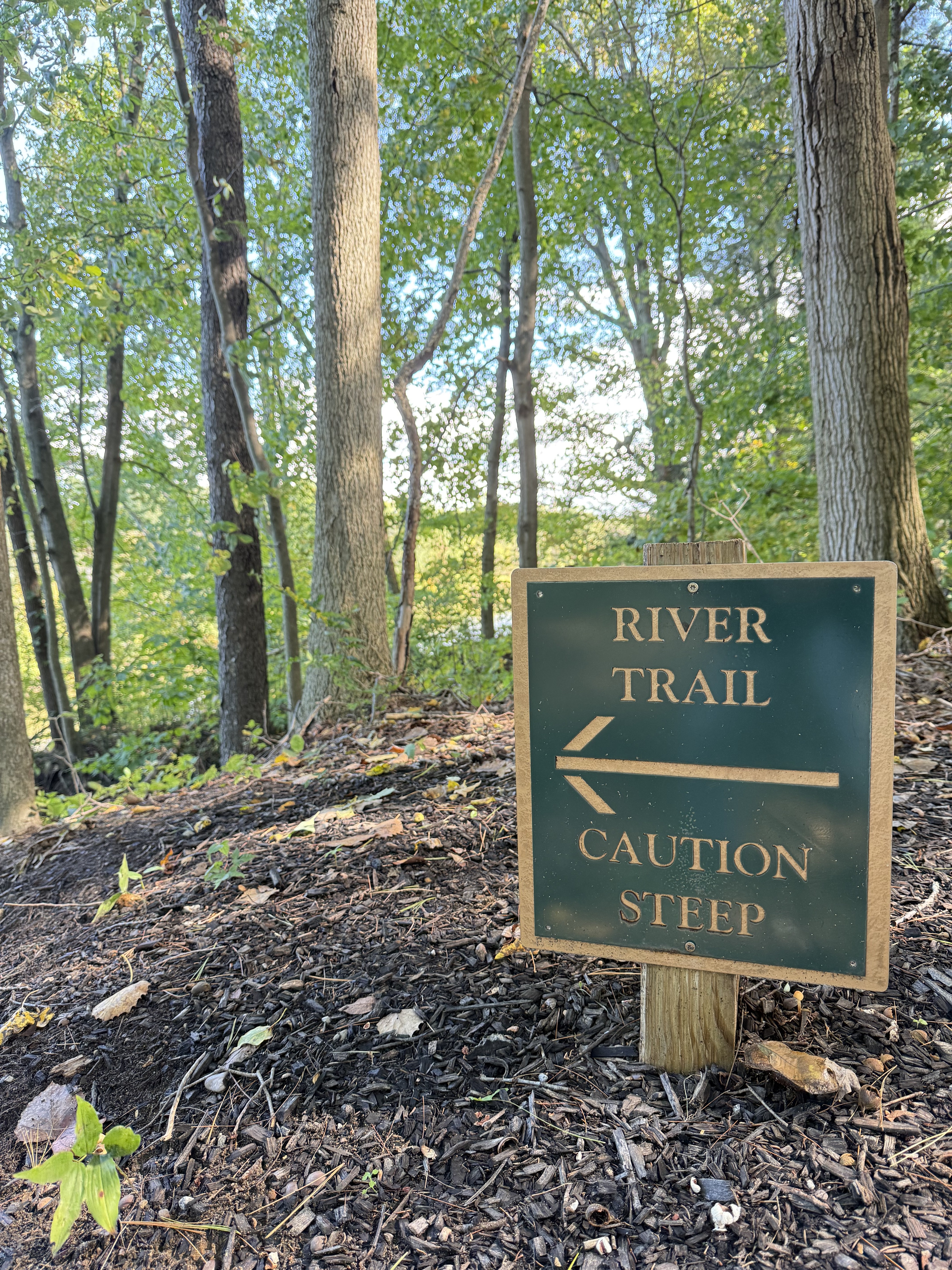 Scenic river trail access with peaceful woods and nature nearby