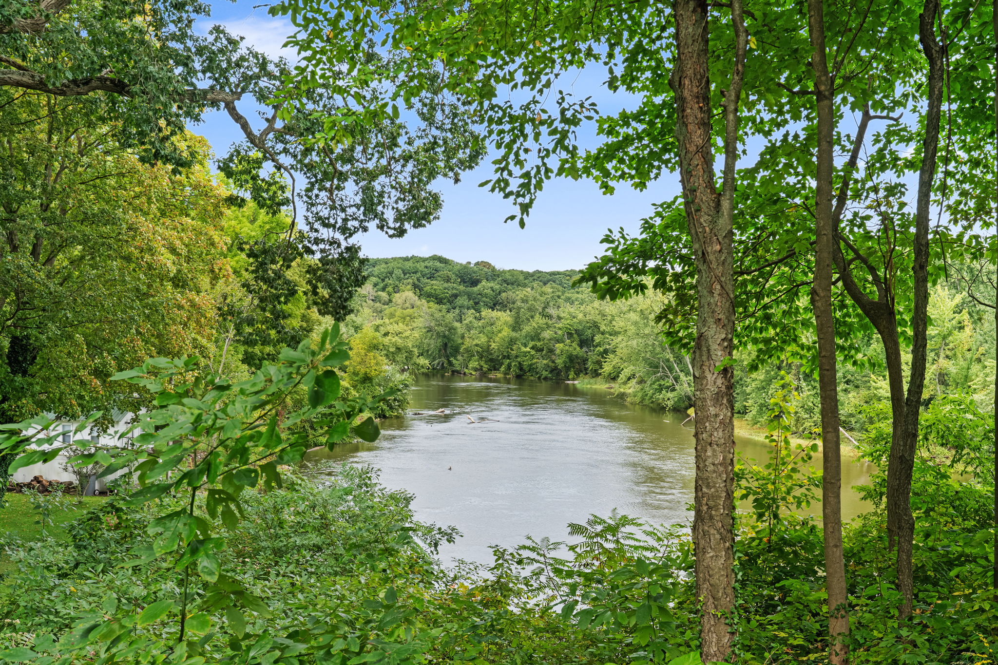 Serene riverfront views framed by lush trees and peaceful nature