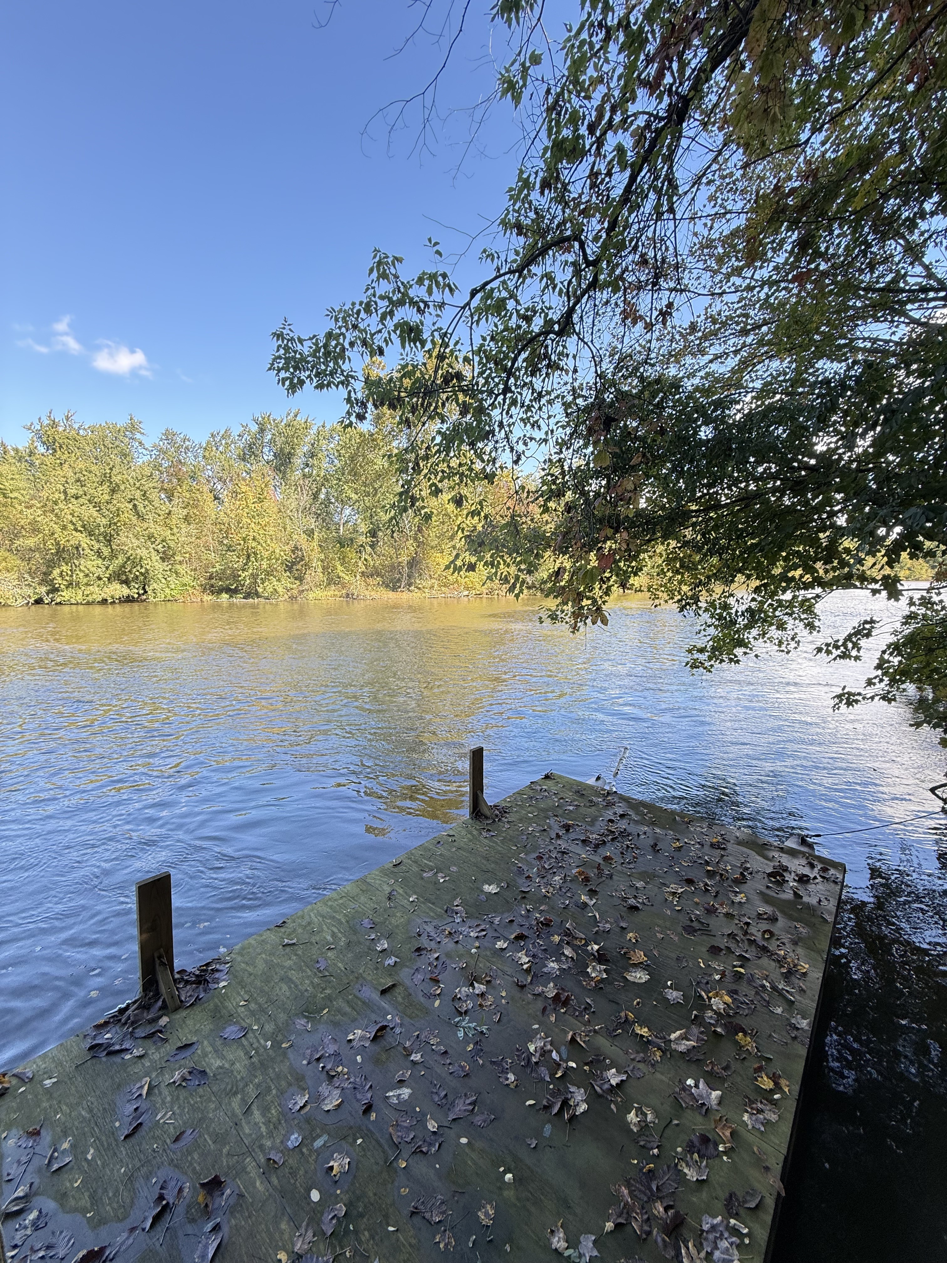 Peaceful private dock with serene water views and shady trees