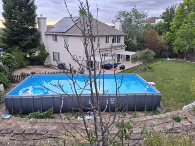 Nighthawk Manor 30 days or more