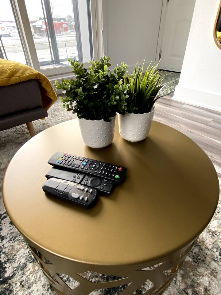 Round coffee table with greenery and remotes within reach, adding a simple, convenient touch to the lounge area.