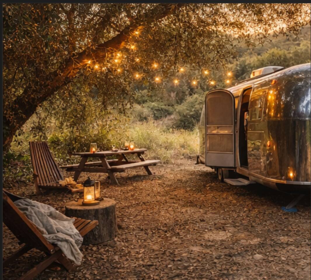 Vintage Airstream Retreat Under the Trees Glamping