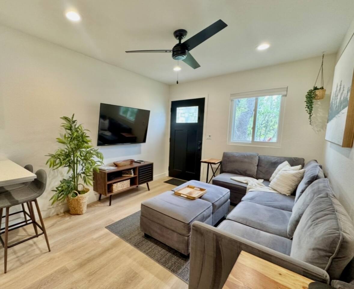 Tiny but cozy living room with modular sofa to make sleeping comfortable for one extra guest.