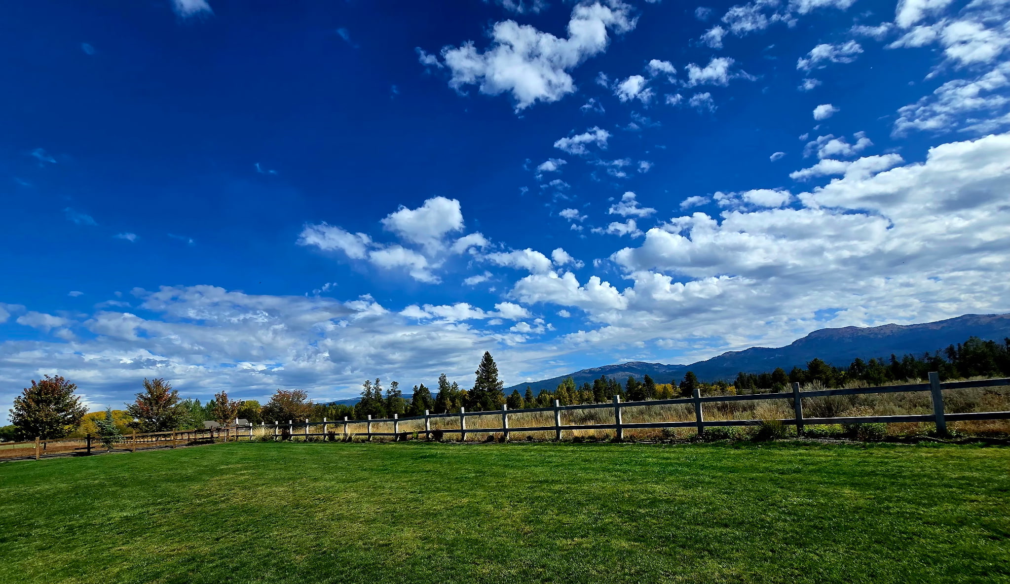Expansive lawn with mountain views and a peaceful fenced outdoor setting