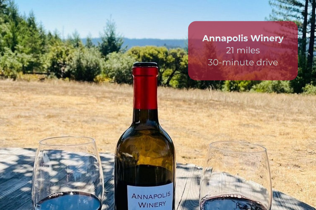 Sip local wine with scenic countryside views, just 30 minutes from Annapolis Winery