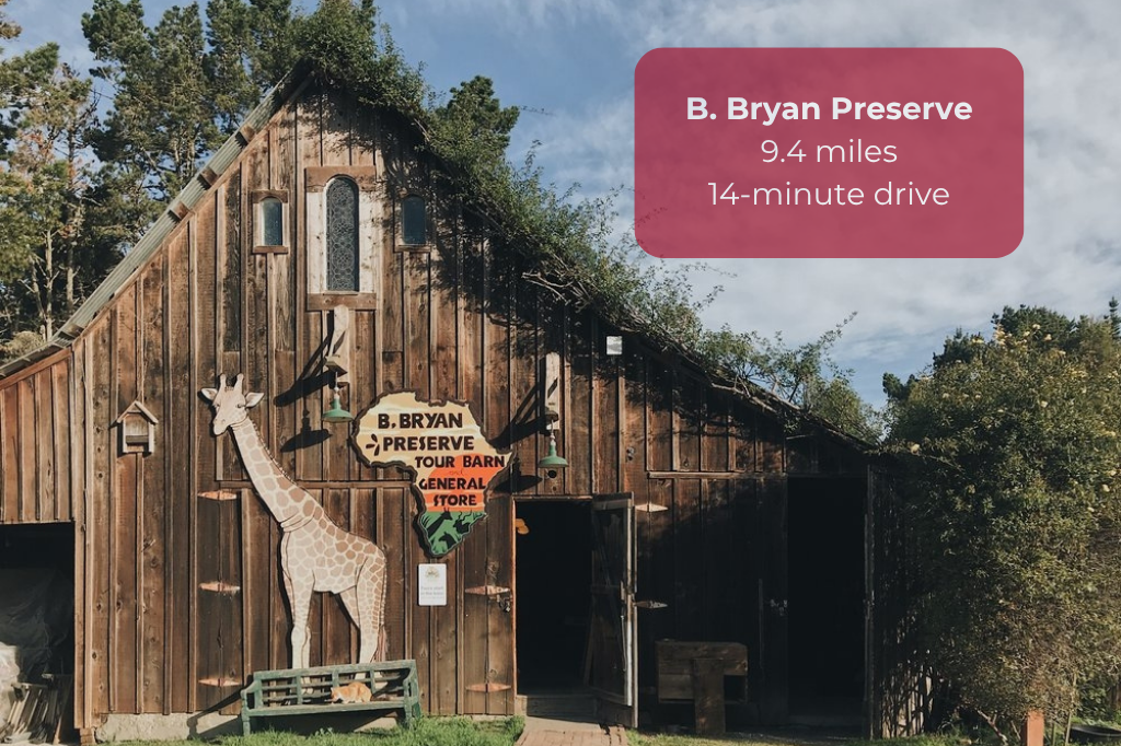 Near B. Bryan Preserve—rustic wildlife adventure just 14 minutes away