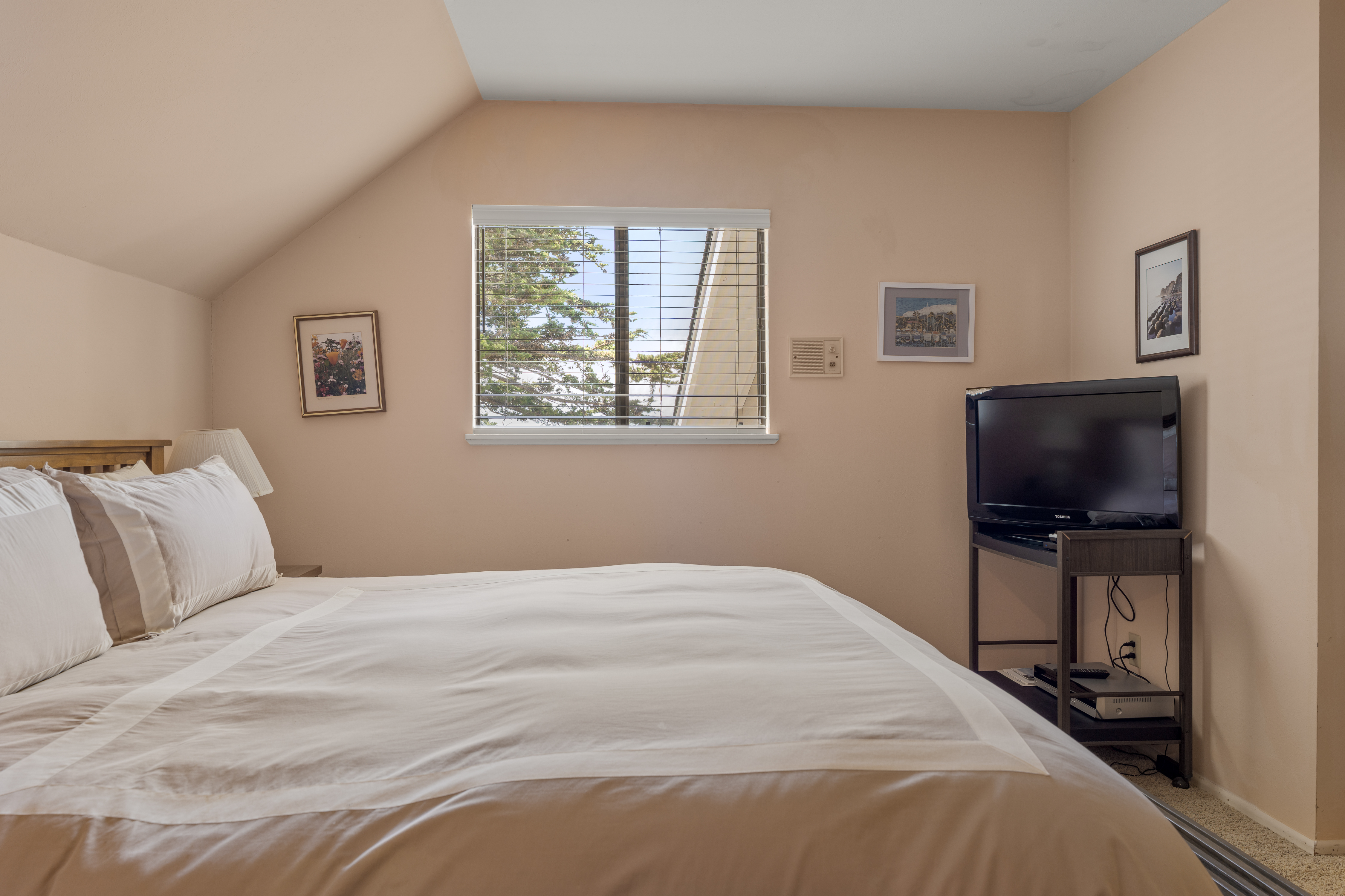 Cozy, light-filled bedroom with plush bedding, TV, and peaceful window views