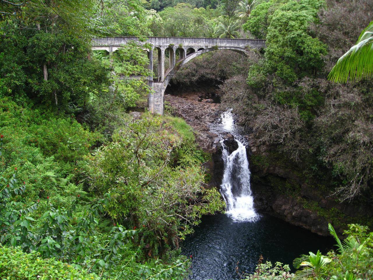 A short paddle down Honolii Stream will take you to hidden waterfalls, offering a peaceful and refreshing escape surrounded by lush Hawaiian beauty.