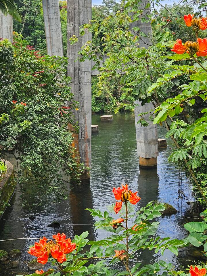 Surrounded by lush foliage and vibrant tropical plants, the property is a haven for local wildlife, offering a true taste of Hawaii’s natural beauty.