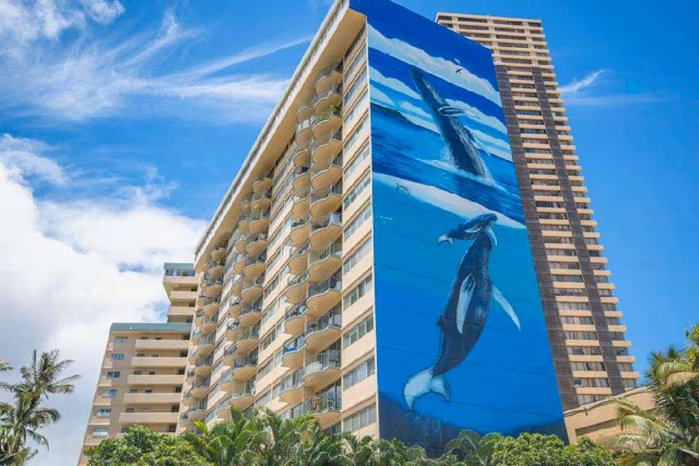 Graceful humpbacks leap across the facade, adding color, movement, and island magic to the cityscape.