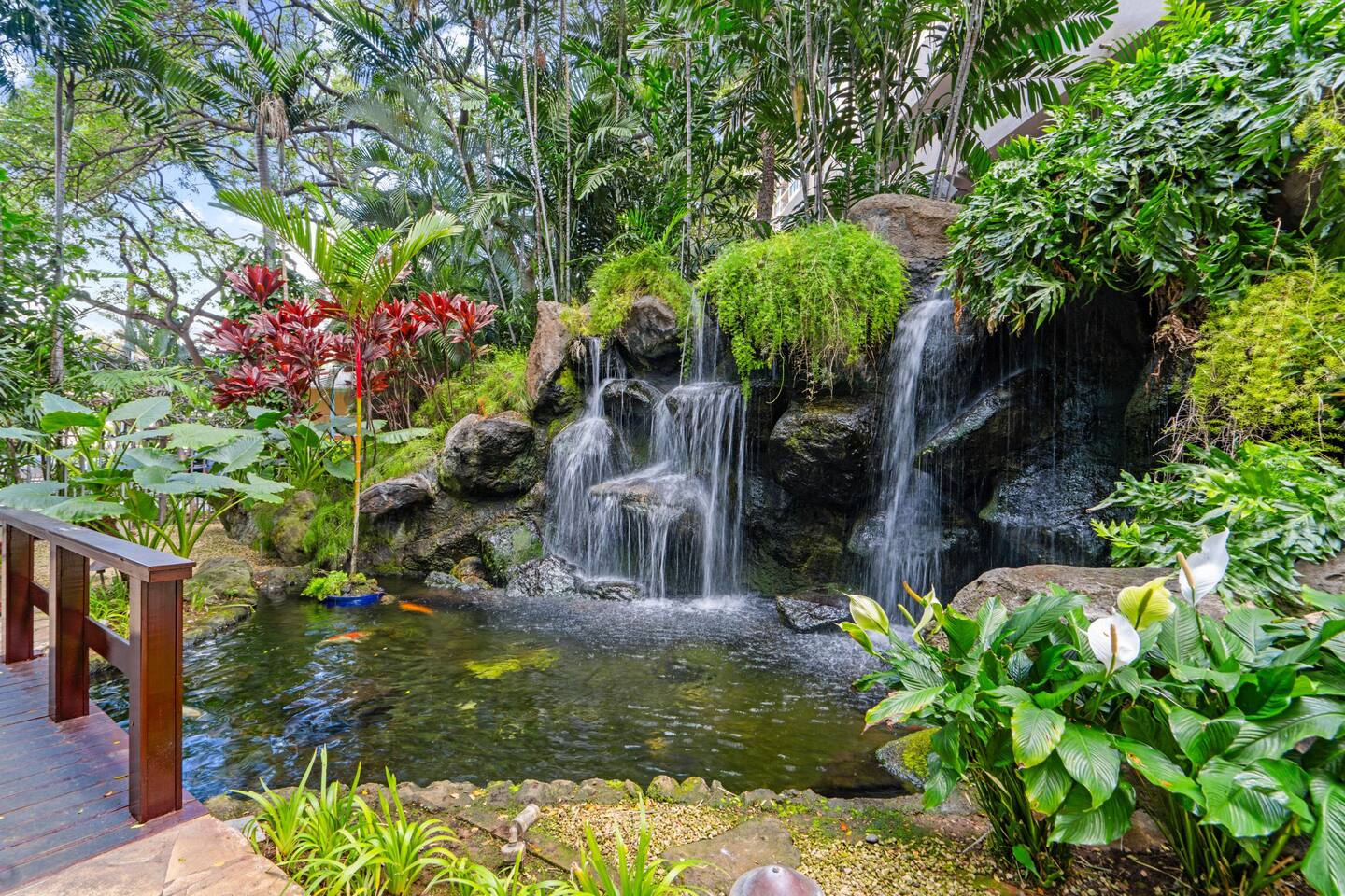 Bridge, koi, and cascading calm. This garden is a living postcard. Island serenity, beautifully framed.