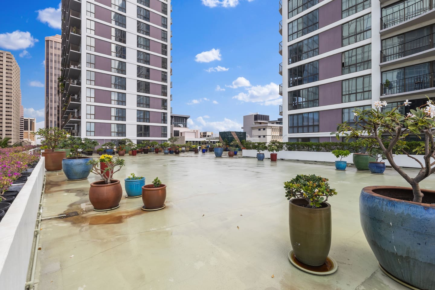 Urban calm with a garden twist, this rooftop blends fresh air, flowers, and high-rise views.