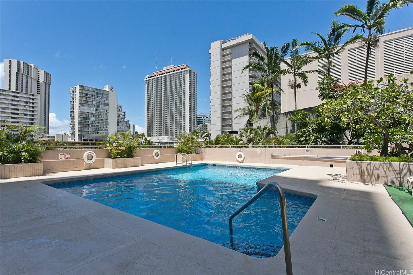 Take a dip above the city! Clear waters, swaying palms, and skyline views all around.