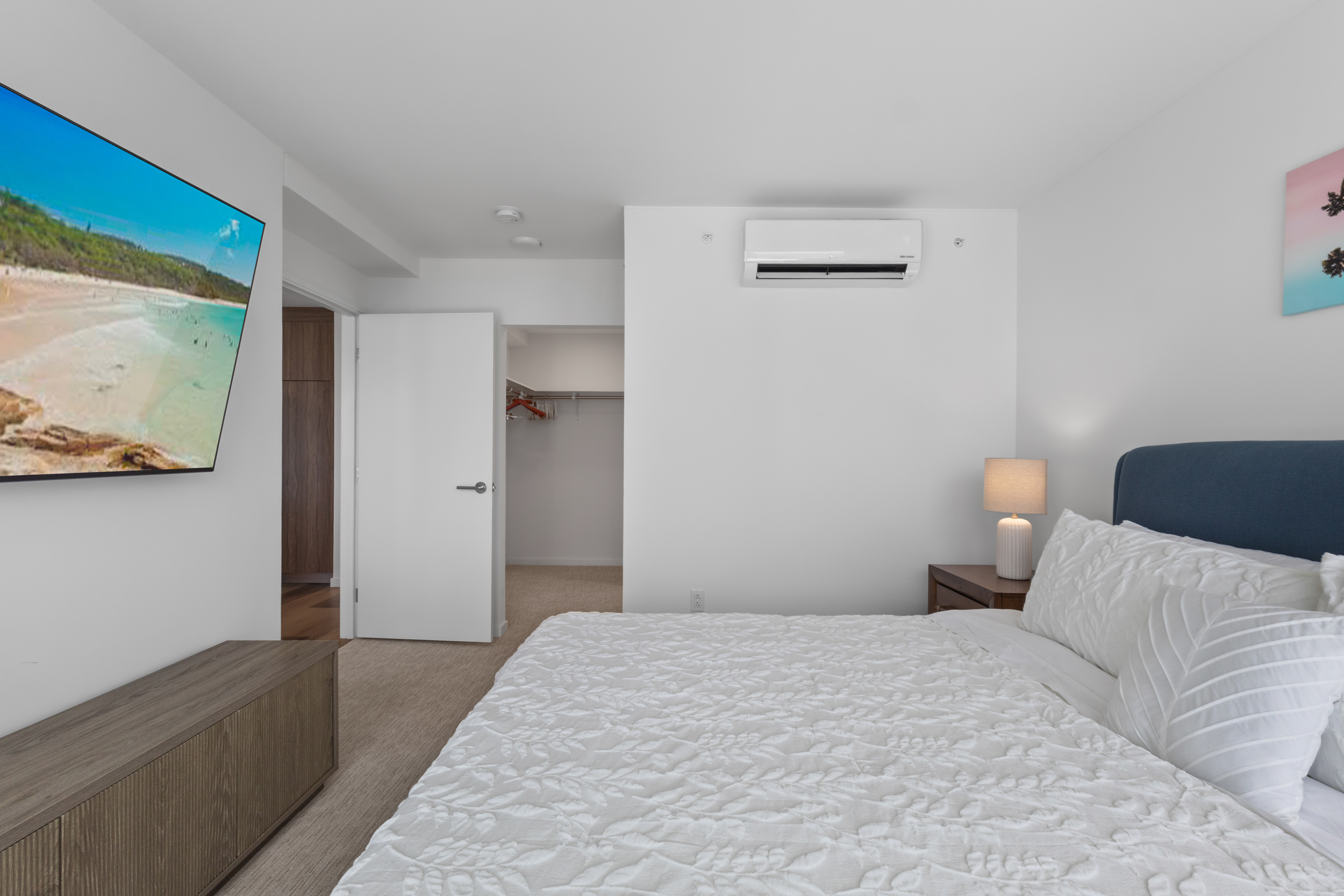 Bright modern bedroom with TV, AC, and a spacious closet