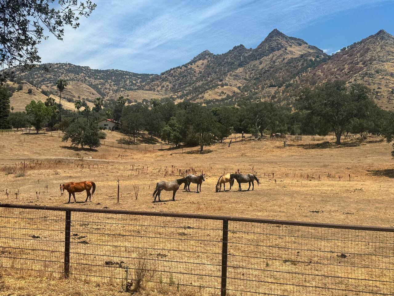 Agate Ranch | 2 BD + Views + EV + Walk to River
