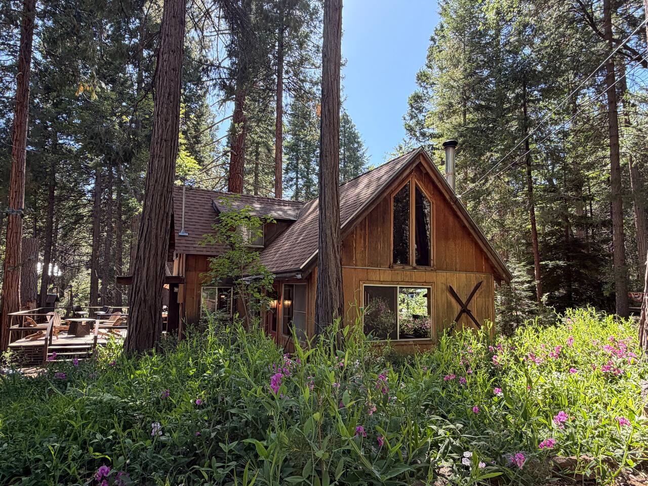 Hidden Creek Cabin | Fire Pit + BBQ + Forest Views