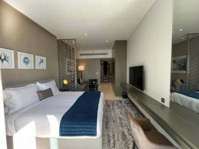 Studio with double sofa bed and TV