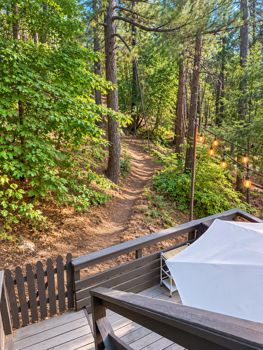 Private forest deck with string lights and a scenic woodland path