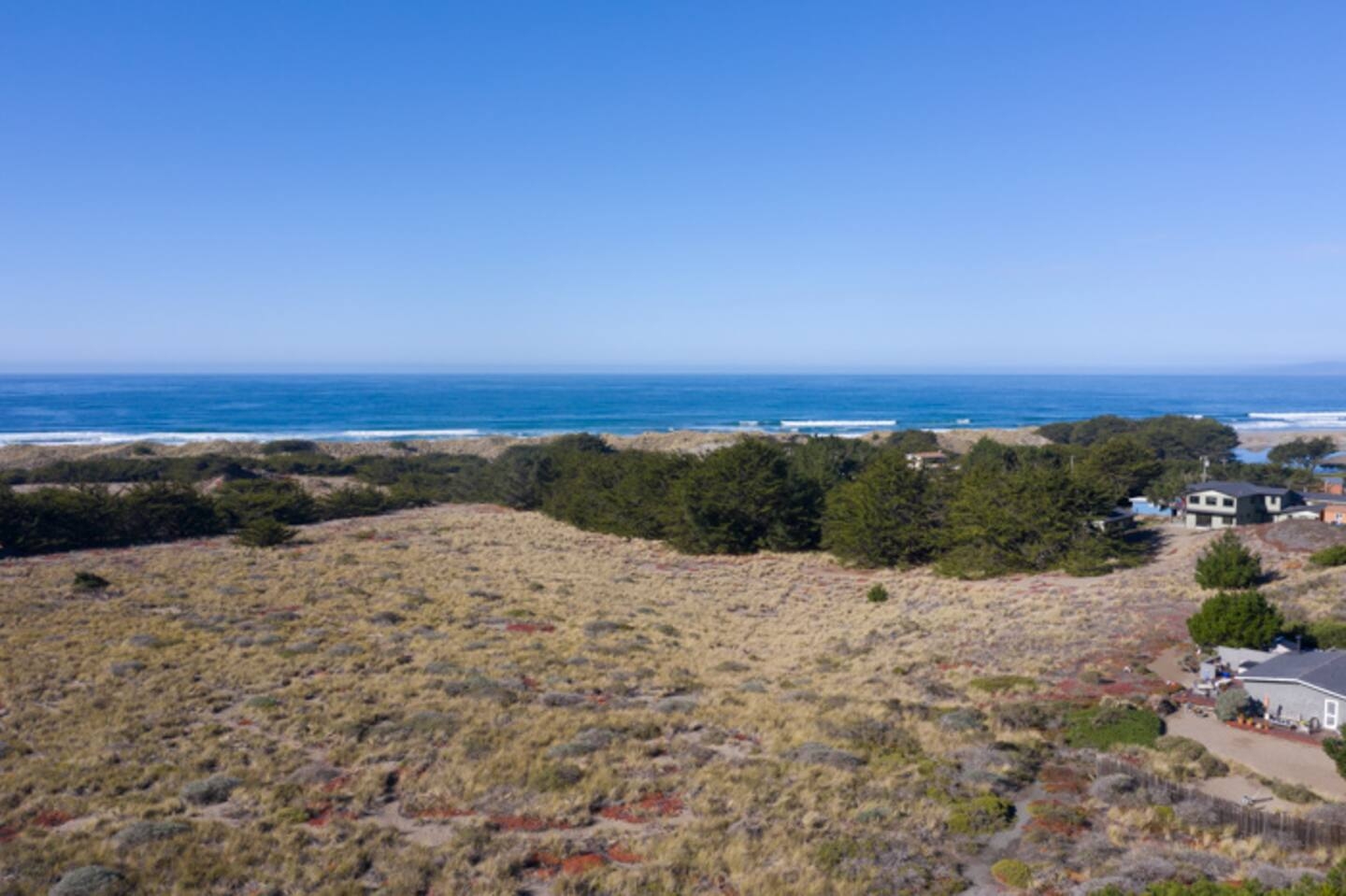 Sweeping ocean views over dunes and trees in a serene coastal setting