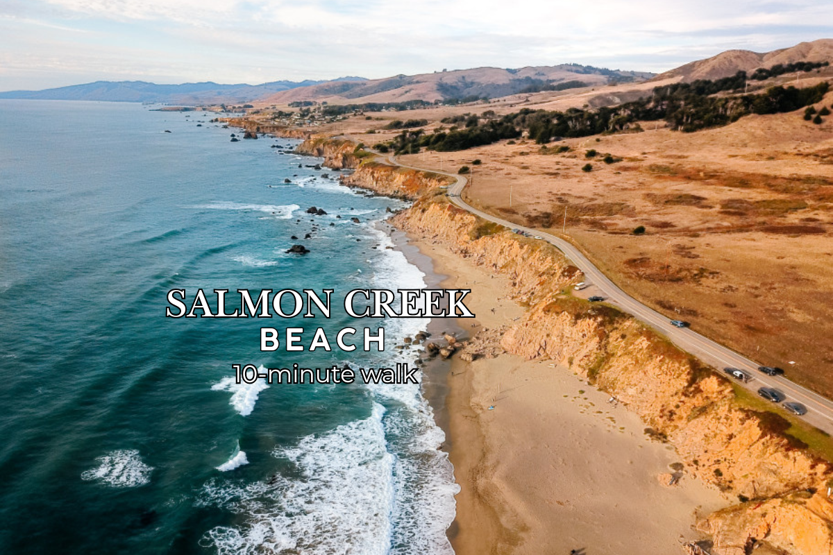 10-minute walk to scenic Salmon Creek Beach and stunning coastal views