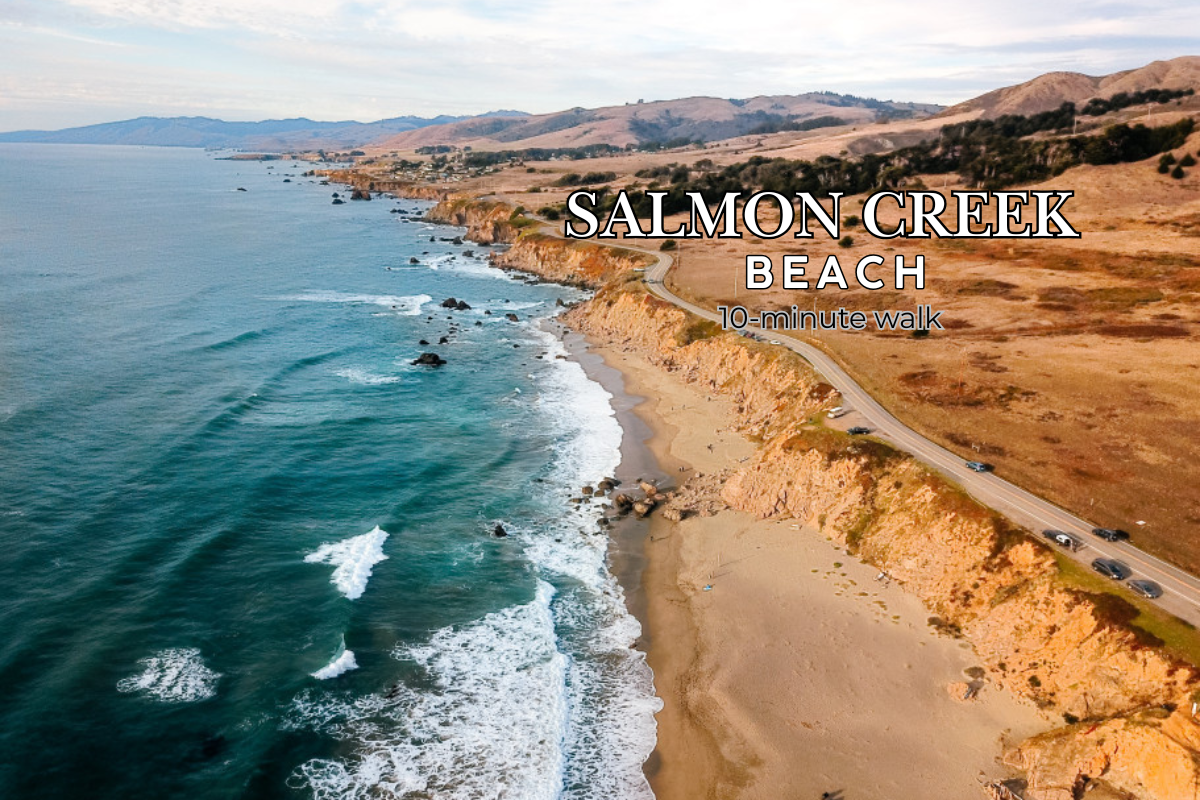 Scenic coastal stay just a 10-minute walk to Salmon Creek Beach